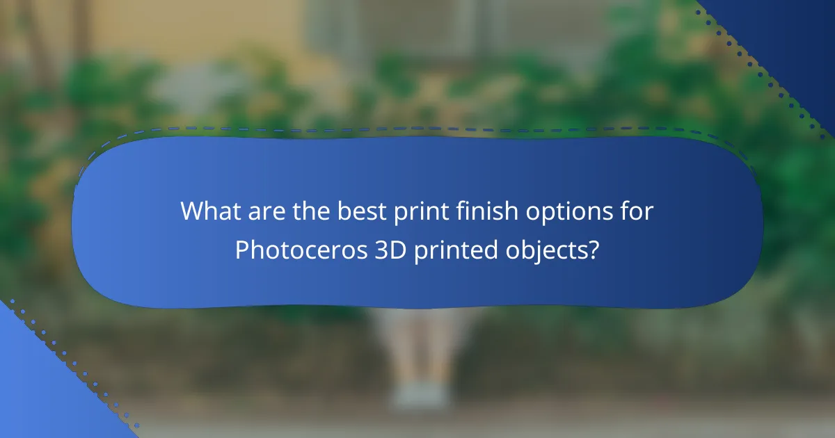 What are the best print finish options for Photoceros 3D printed objects?